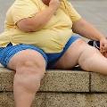 Исследование: ожирение стало главным бичом человечества