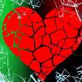 Учёные изобрели клей, который позволит вылечить “разбитое” сердце