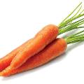 Исследование: морковь – один из важнейших продуктов для здоровья и красоты 