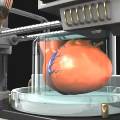 Американские биотехнологи обещают за год напечатать на 3D-принтере аналог печени человека