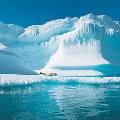 Температура в Арктике до конца века может вырасти на 7 градусов