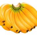 Бананы снижают риск инсульта на 24%