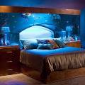 Американские дизайнеры предлагают релакс-кровать с аквариумом