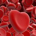 Группа крови человека определяет риск развития сердечных болезней 
