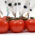 Украина может разрешить ГМО-продукцию