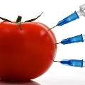 Медики рассказали, какие ГМО можно употреблять, а какие должны быть запрещены