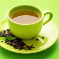 Зелёный чай с молоком поможет эффективно похудеть