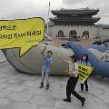 Гринпис принёс к дому правительства в Сеуле 17-метрового кита