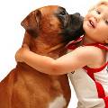 Психологи: детям просто необходимо иметь домашнее животное
