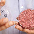 Исследователи делают ставку на искусственно выращенное мясо