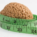 Лишний вес приводит к ускоренному усыханию мозга, показал анализ