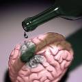 Медики выяснили, что пиво разрушает мозг 