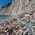 В Крыму начали борьбу со сливами отходов в море и крысами на пляжах
