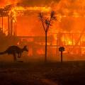В Австралии новые пожары могут угрожать районам с высокой численностью населения