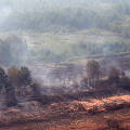В Greenpeace объявили о начале сезона торфяных пожаров