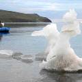 WWF России разработает 13 проектов новых заповедников в Арктике