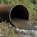 Российский учёные предложил способ получения удобрения из канализационных отходов