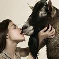 Дания намерена запретить секс с животными из-за нашествия зоофилов