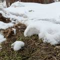 Гидрометцентр: снегопады и морозы для апреля не редкость