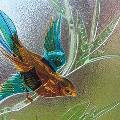 Созданы стекла, предотвращающие столкновение птиц с остеклением фасадов