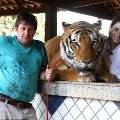 Бразильская семья проживает в одном доме с семью тиграми
