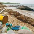 Токсичные бактерии обнаружены в микропластике на 3 разных береговых линиях вокруг Сингапура