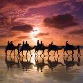 Казахи отправятся в «кругосветку» на верблюдах