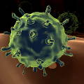 Учёные создали средство от всех штаммов гриппа